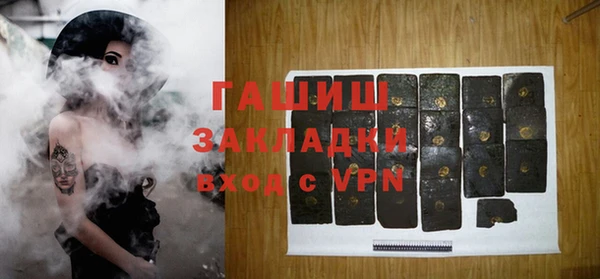 хмурый Аркадак