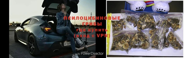 сатива Армянск