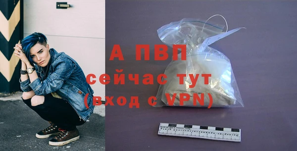 сатива Арсеньев