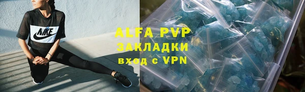 сатива Армянск