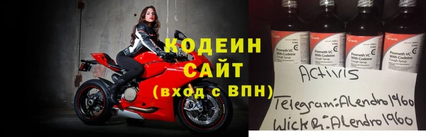 сатива Арсеньев
