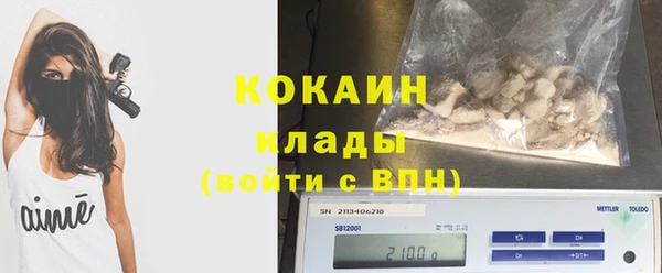 хмурый Аркадак