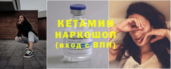 хмурый Аркадак