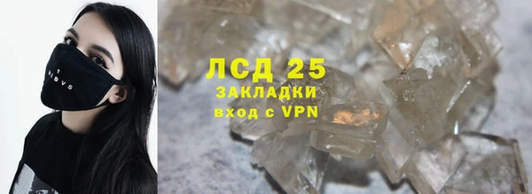 хмурый Аркадак