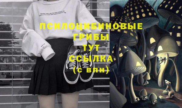 сатива Арсеньев