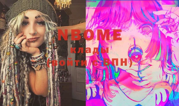 хмурый Аркадак