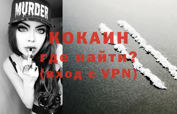 хмурый Аркадак