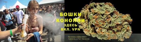 сатива Армянск