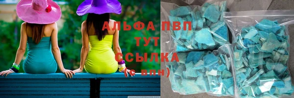 сатива Арсеньев